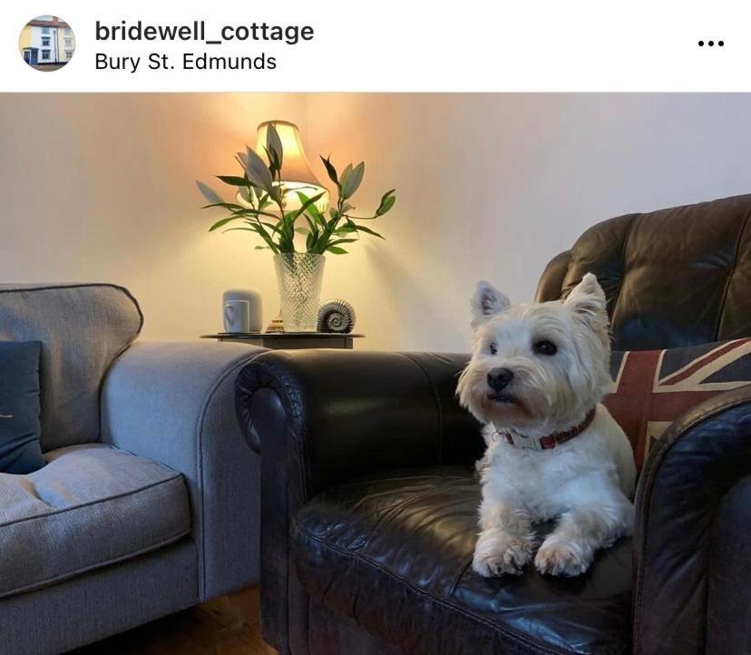 Sweet & Cosy 10 Bridewell Cottage With Parking Available Upon Request Bury St. Edmunds المظهر الخارجي الصورة